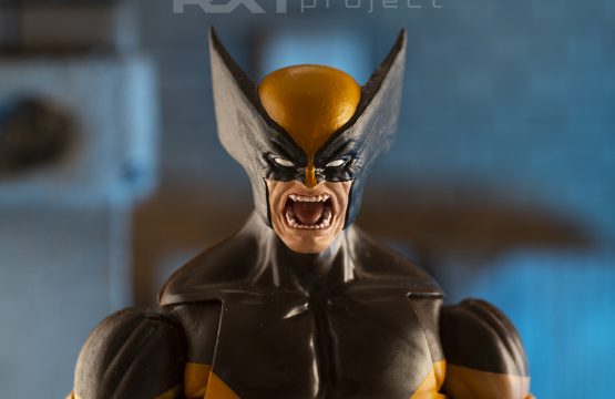 Custom Head Sculpt Enraged Wolverine