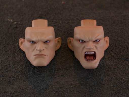 Custom Face Plates for S.H.Figuarts Guile - Image 4